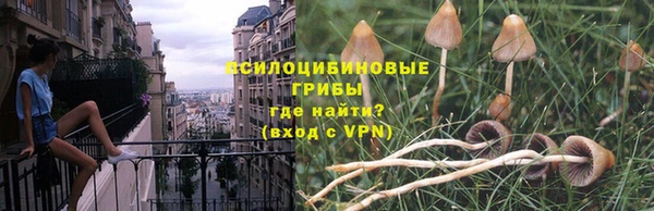 соль ск Волоколамск