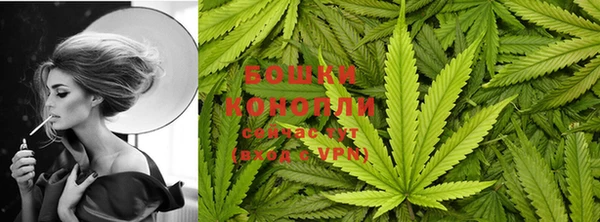 молекула духа Волосово